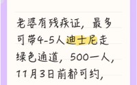 上海迪士尼现“免排队”？“残障爱心通道”成黄牛“提款机”，有团伙4个月非法牟利10万余元
