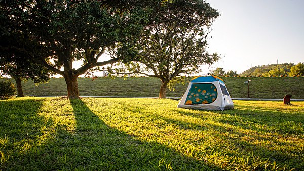 大事小情习惯“问问AI”?警惕AI的“种草式”推荐