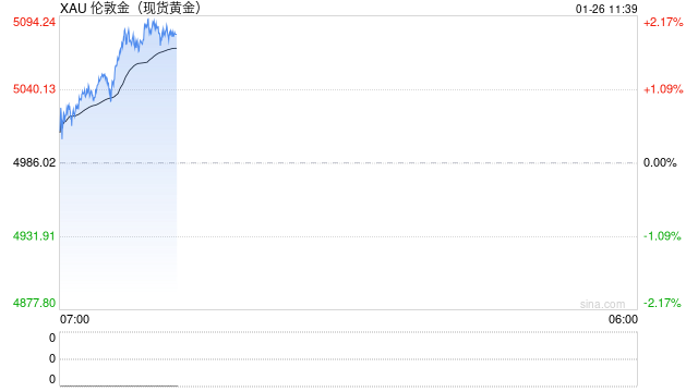 黄金五个月狂飙50%背后:不是央行,是散户制造的完美泡沫?