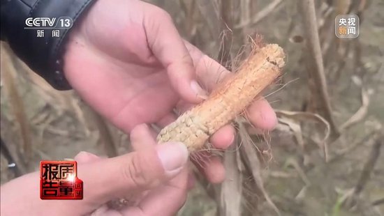 每周质量报告丨未定损就签字、没受灾也赔付 惠农保险理赔怎成一笔“糊涂账”？