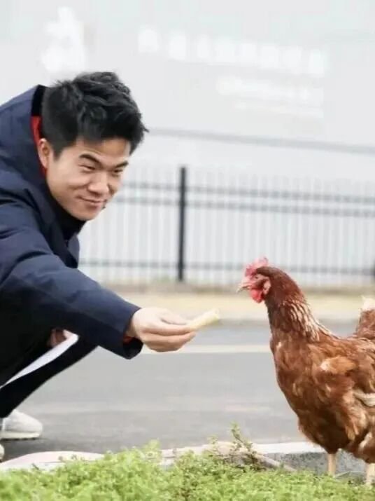 从“三只羊”到“三只鸡”：董宇辉老师，您该卖什么给“丈母娘”？