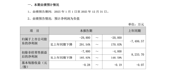 靠投资拉业绩又被反噬,双鹭药业2025年炒股亏2亿,年薪43万董事长徐明波自掏腰包先补5000万