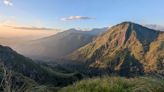 国寿合并营收1.3万亿、人保保费7300亿，四大中管险企年度工作会说了什么？