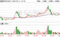 永冠新材：公司产品销往全球110多个国家和地区，其中包含欧盟成员国