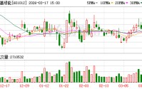 隆基绿能：公司目前已构建起了以HPBC 2.0技术为核心的高价值产品体系