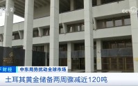 中东大国，黄金储备14天骤减近120吨！发生了什么？
