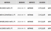 IPO二度折戟后，这家EDA公司冲刺北交所