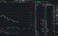中芯国际、小米集团-W双双跌逾4%，港股信息技术ETF（159131）午后跌幅扩大至4%，实时净申购增至1000万份！