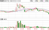 汉商集团：不存在逾期对外担保情况