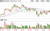 双象股份：拟每10股分红2元