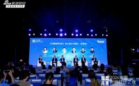 AI时代真相：码农被取代，电工却稳如泰山 | 博鳌新浪财经之夜
