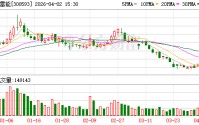 新雷能：公司合作伙伴为ADI，ADI与其他厂商进行商务合作