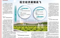 人民日报深度观察：低空经济展翅高飞