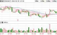伟星股份：公司会严格按照相关法律法规的要求履行信息披露义务