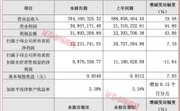 谢治宇锁仓六季，这只科创板龙头或成下一个十倍股？