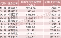 长线资金“扫货”，重仓股曝光