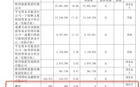 手持500股，跻身“十大股东榜”？A股此前已有先例