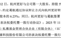 创业慧康控股权落定：葛航退到台后，杭州更好拿下12.64%表决权，近30年老牌杭企易主 | 长三角资本局