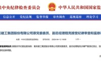 A股突发！涉嫌严重违纪违法，程亮被查
