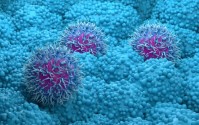 Revolution Medicines胰腺癌药物在晚期试验中获得成功