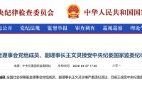 突发！王文灵任上被查