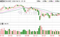 金埔园林2025年度归母净利润亏损约2.41亿元