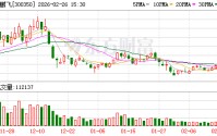 华鹏飞：公司及子公司无逾期对外担保