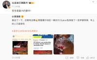 比亚迪高管回应“元plus硬扛导弹“：安全是最大的豪华