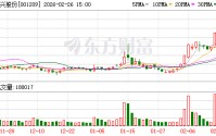 股价连续异动 洪兴股份提示高估值风险