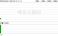 N林平上午收盘涨66.05% 半日成交6.51亿元