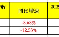 助贷新规冲击显现！去年四季度信也、奇富科技净利下滑四成左右，加速布局海外