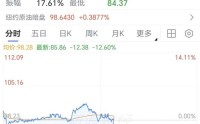 金融市场突变！油价跳水12%，美股期指、金银快速反弹，特朗普称将暂停打击伊朗能源设施5天