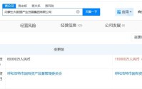 内蒙古大数据产业发展集团增资至11亿 增幅37.5%