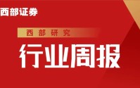 【西部海外政策】美国数据中心电力供应的现实约束、解决方案和投资含义