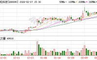 瑞松科技：2025年净利润同比增加5.89%