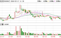 金龙羽：公司2021年投资新能源固态电池项目，目前中试进展顺利，部分固液电池产品经专业检测合格