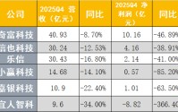 助贷行业加速出清 腰部机构人士：业务量已降至原来6至7成