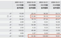 影石创新增收不增利是否折射出增长困局 股价“过山车”疑遭市场用脚投票？