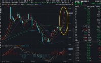 国家大基金垂青DeepSeek，释放三大重要信号！华宝基金科创人工智能ETF（589520）创历史新高后，首度回调！