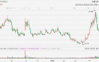 美股异动丨赫兹大涨20%，与优步达成合作