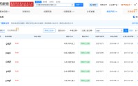 papitube已登记papi的热烈欢迎著作权