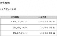西部证券一季度增收不增利：营收增17%，净利同比降2.25%至2.84亿元