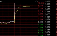 午后拉升！000008、600528快速涨停
