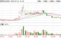 新华网：公司大股东和管理层非常重视公司市值管理