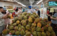 榴莲价格打下来了