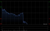 中电控股发布年度业绩 股东应占盈利104.68亿港元同比减少10.85%