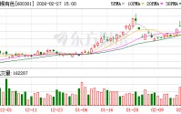 华锡有色：公司已完成使用公积金弥补亏损