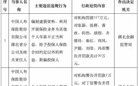 河南湖北监管接连重拳 中国人寿两地分公司深陷违规泥潭