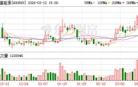 天富能源：目前公司大数据服务相关的供电客户包括新疆泽峰云谷智算科技有限公司等