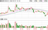 银禧科技：2025年年度归属于上市公司股东的净利润是110724865.22元